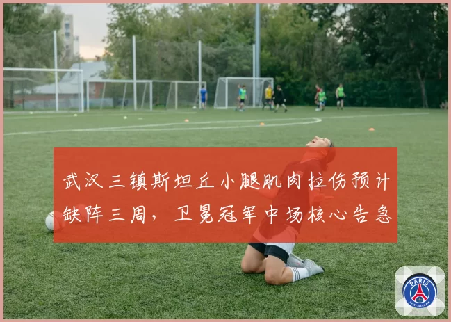 武汉三镇斯坦丘小腿肌肉拉伤预计缺阵三周，卫冕冠军中场核心告急