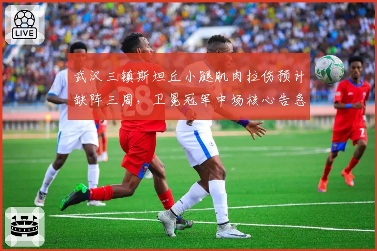 武汉三镇斯坦丘小腿肌肉拉伤预计缺阵三周,卫冕冠军中场核心告急