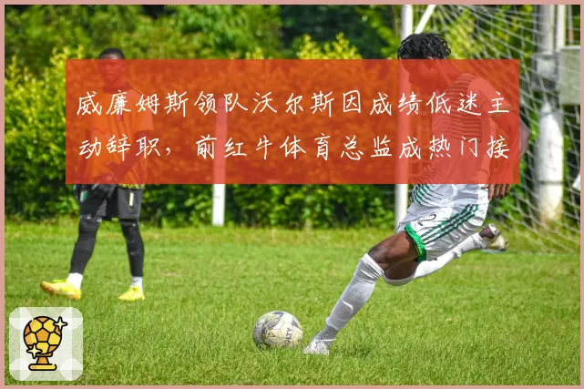 威廉姆斯领队沃尔斯因成绩低迷主动辞职，前红牛体育总监成热门接任