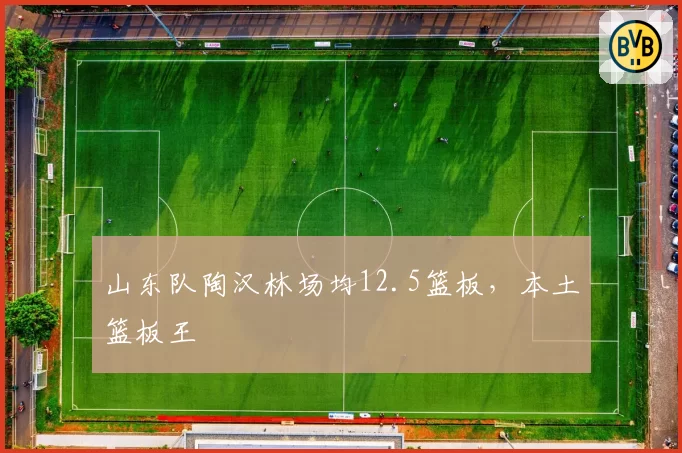 山东队陶汉林场均12.5篮板，本土篮板王