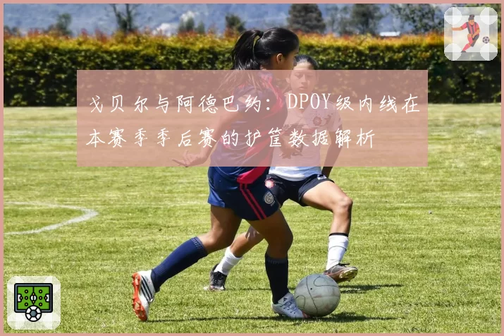 戈贝尔与阿德巴约:DPOY级内线在本赛季季后赛的护筐数据解析